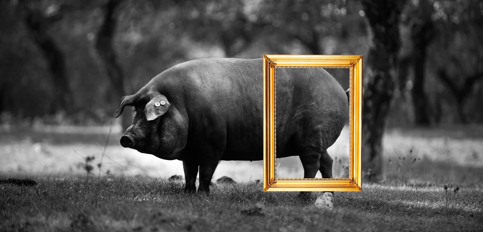 benito-creatividad
